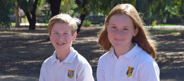 whs-banner-kids_01